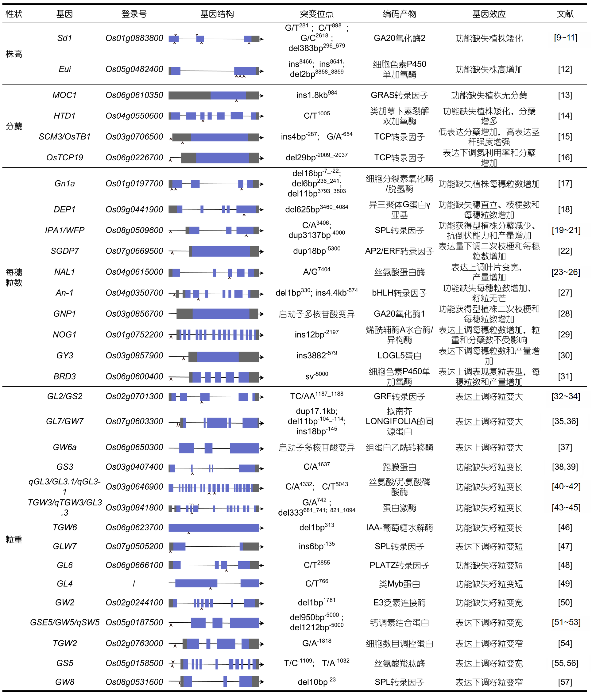 がんの生物学　第二版 蔡自兴人工智能专家、IEEE 终身院士、中南大学教授