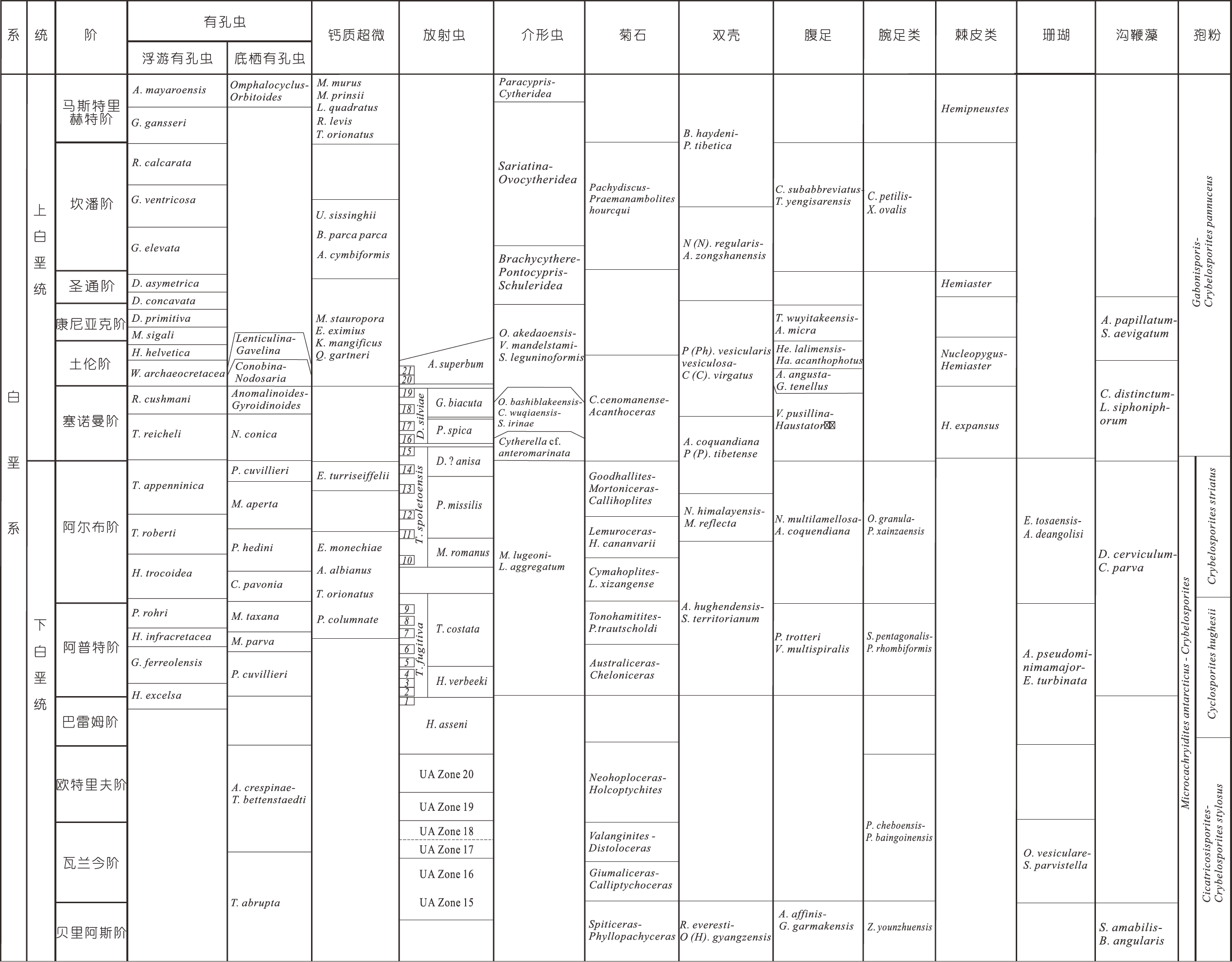 青藏高原及其周边白垩纪综合地层<bold>、</bold>生物群与古地理演化