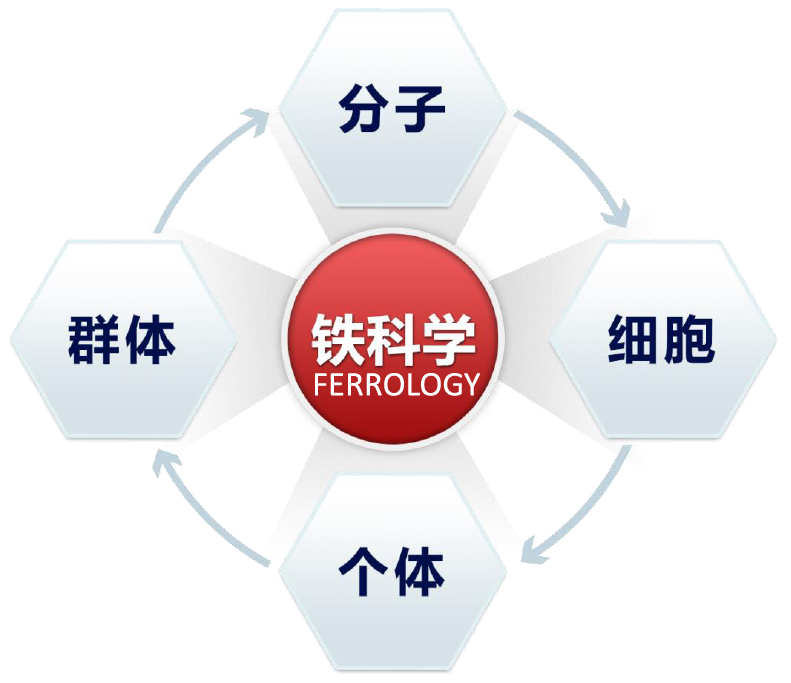 りょう Ferrology: a charming boundless iron-centric science
