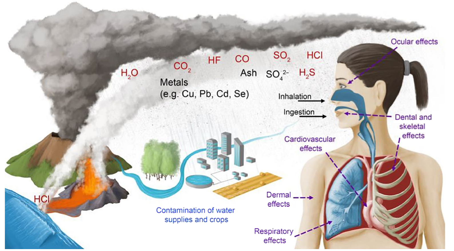 生物学 1666775796652-1885035789_pic.png